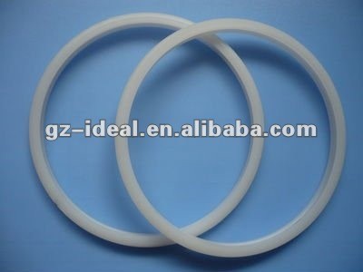 PVDF plastic seal rings